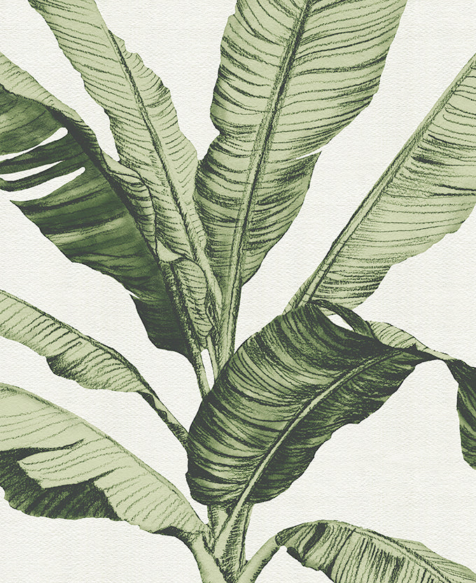 Tranquil Tropics III