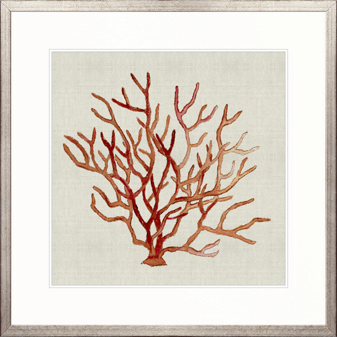 Delicate Coral III