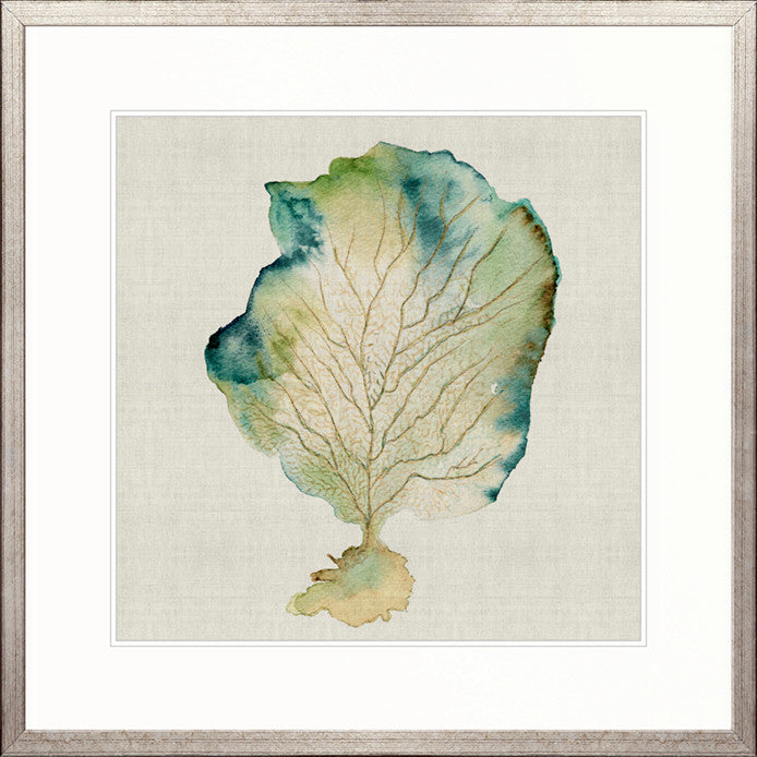 Delicate Coral IV