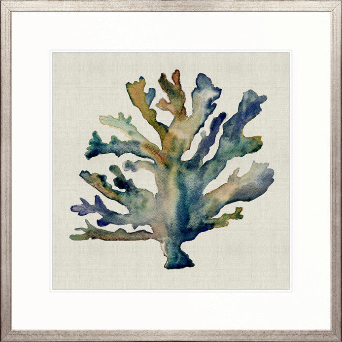 Delicate Coral VI