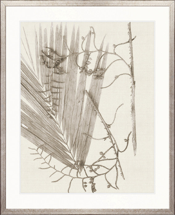 Delicate Frond XI (Taupe)