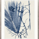 Delicate Frond V (Indigo)