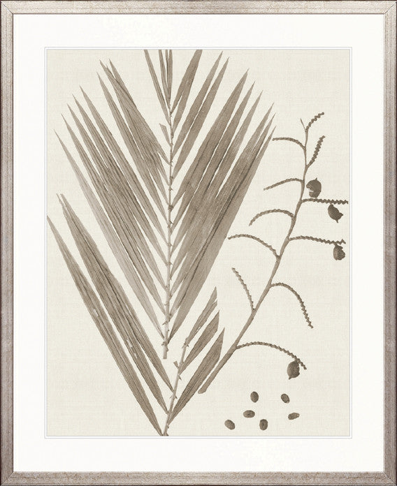 Delicate Frond VII (Taupe)