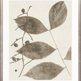 Delicate Frond VIII (Taupe)