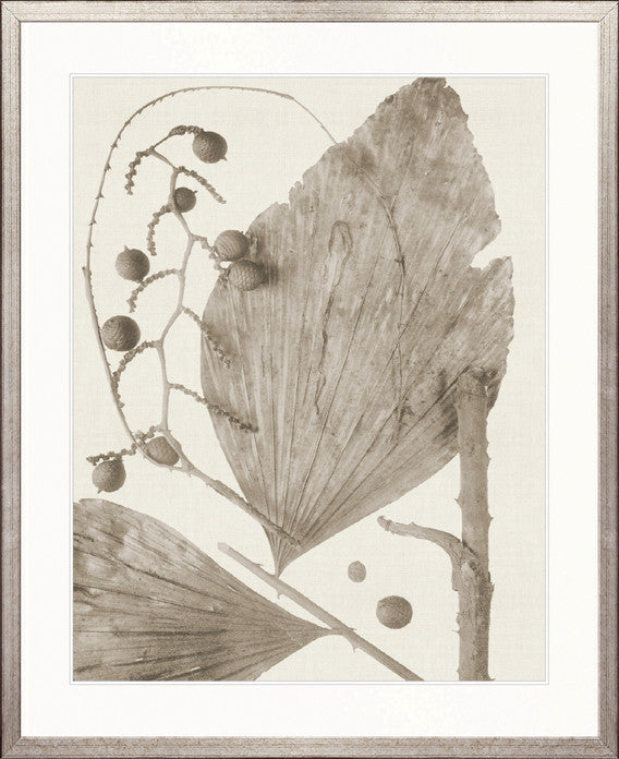 Delicate Frond X (Taupe)
