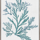 Seaweed Subject I (Blue) (Canvas)
