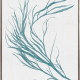 Seaweed Subject III (Blue) (Canvas)