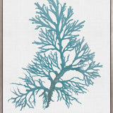 Seaweed Subject V (Blue) (Canvas)