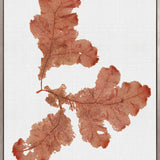 Seaweed Subject X (Red) (Canvas)