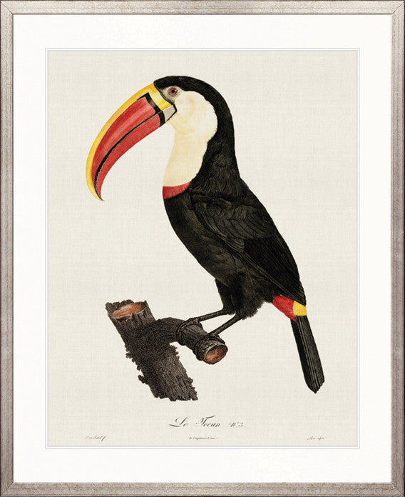 Forest Bird VI