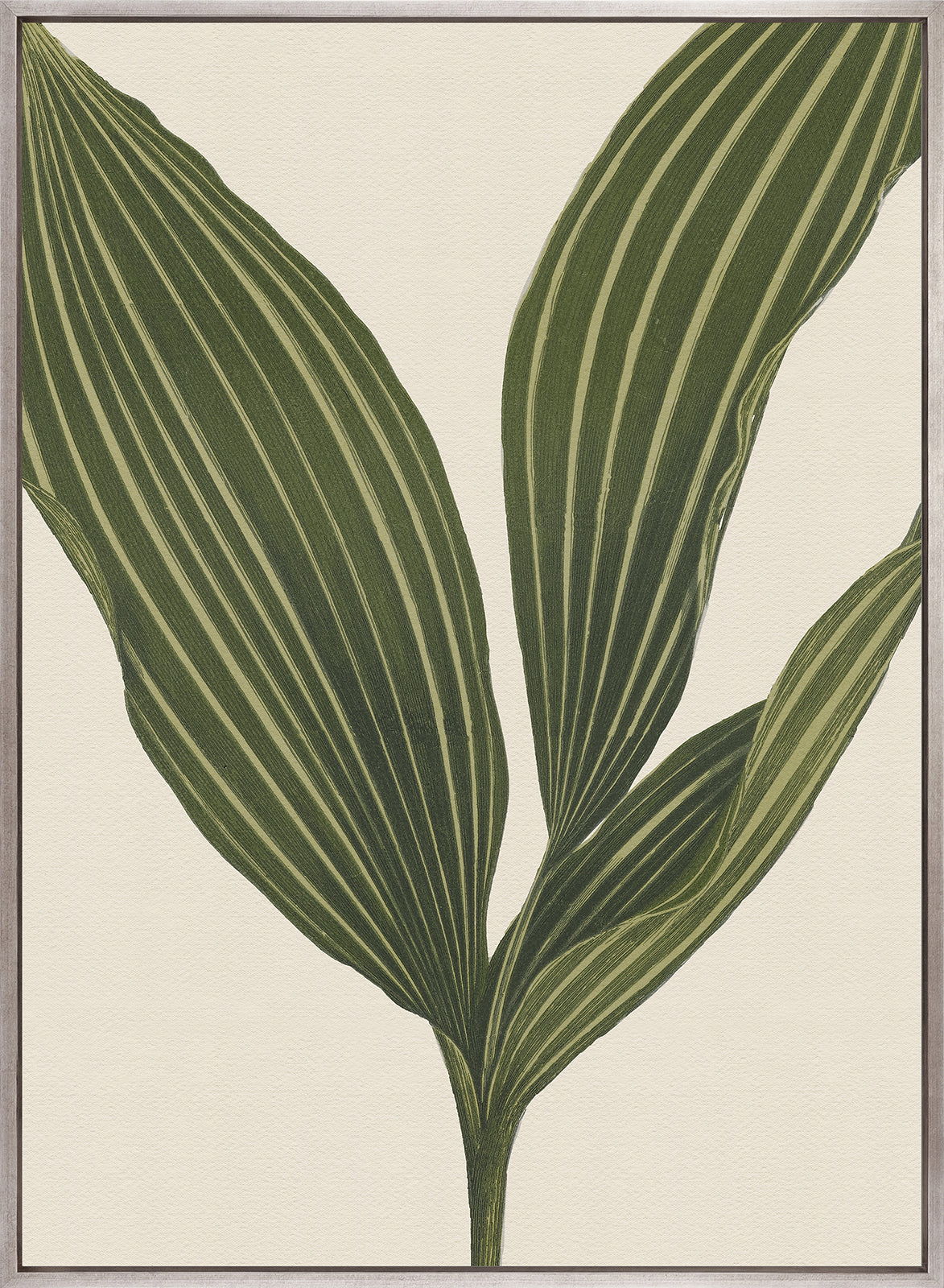 Viridi Foliage I (Canvas)