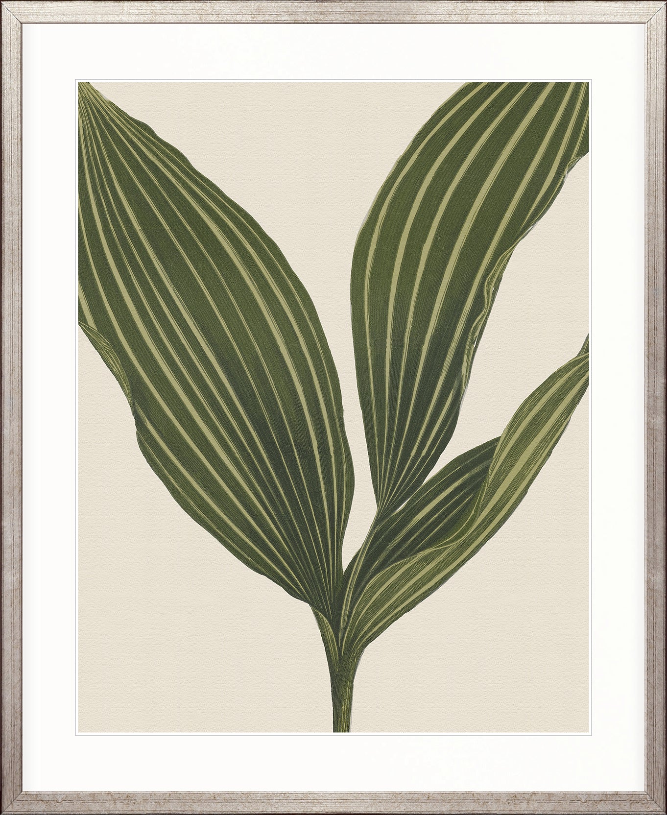 Viridi Foliage I