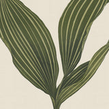 Viridi Foliage I Small (465mm W x 560mm H) / Standard Clear Glass