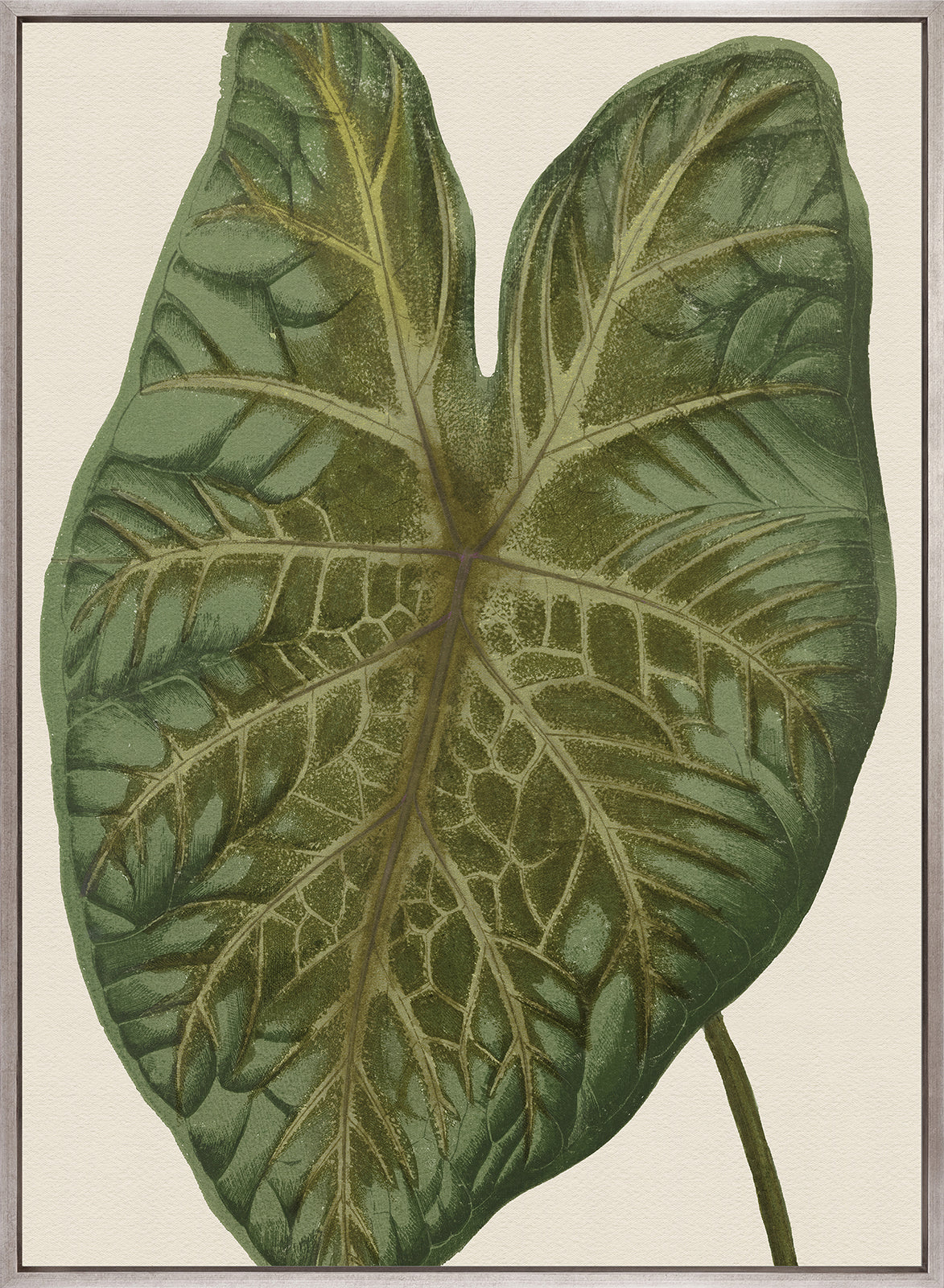 Viridi Foliage II (Canvas)