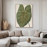 Viridi Foliage II (Canvas) Large (903mm W x 1109mm H)