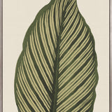 Viridi Foliage III (Canvas) Large (903mm W x 1109mm H)
