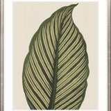 Viridi Foliage III Small (465mm W x 560mm H) / Standard Clear Glass