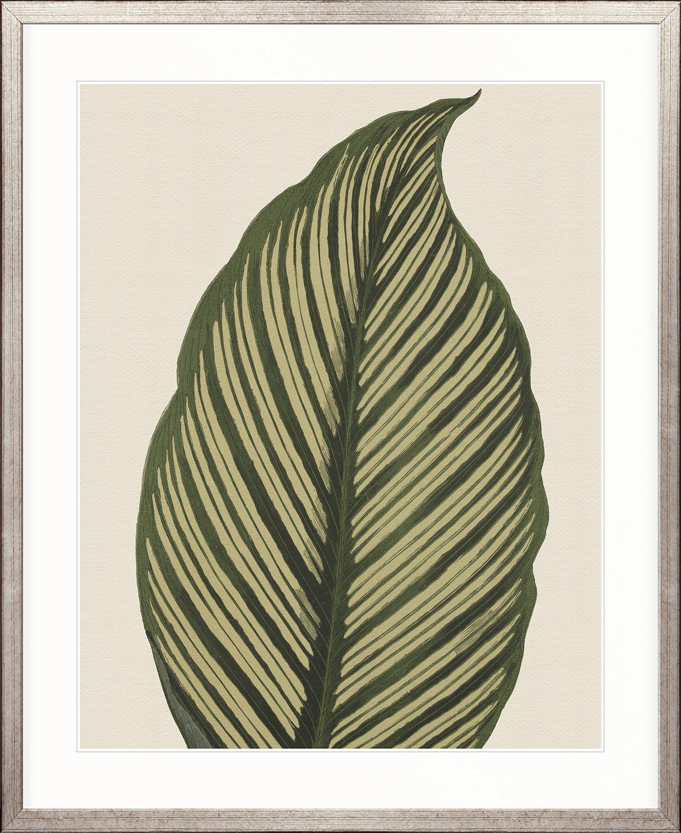 Viridi Foliage III