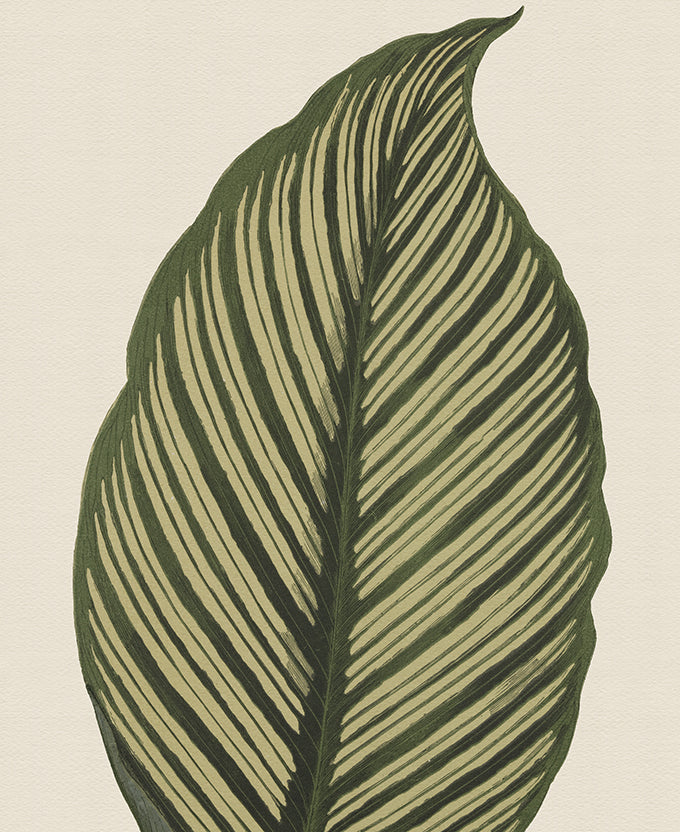 Viridi Foliage III