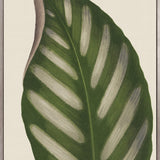 Viridi Foliage IV (Canvas) Large (903mm W x 1109mm H)