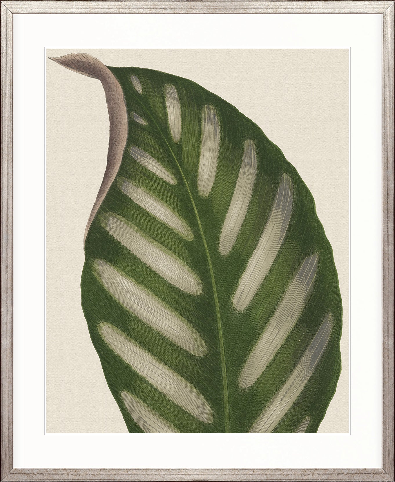 Viridi Foliage IV