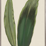 Viridi Foliage V (Canvas) Large (903mm W x 1109mm H)
