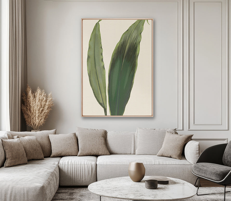 Viridi Foliage V (Canvas)
