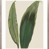 Viridi Foliage V Small (465mm W x 560mm H) / Standard Clear Glass