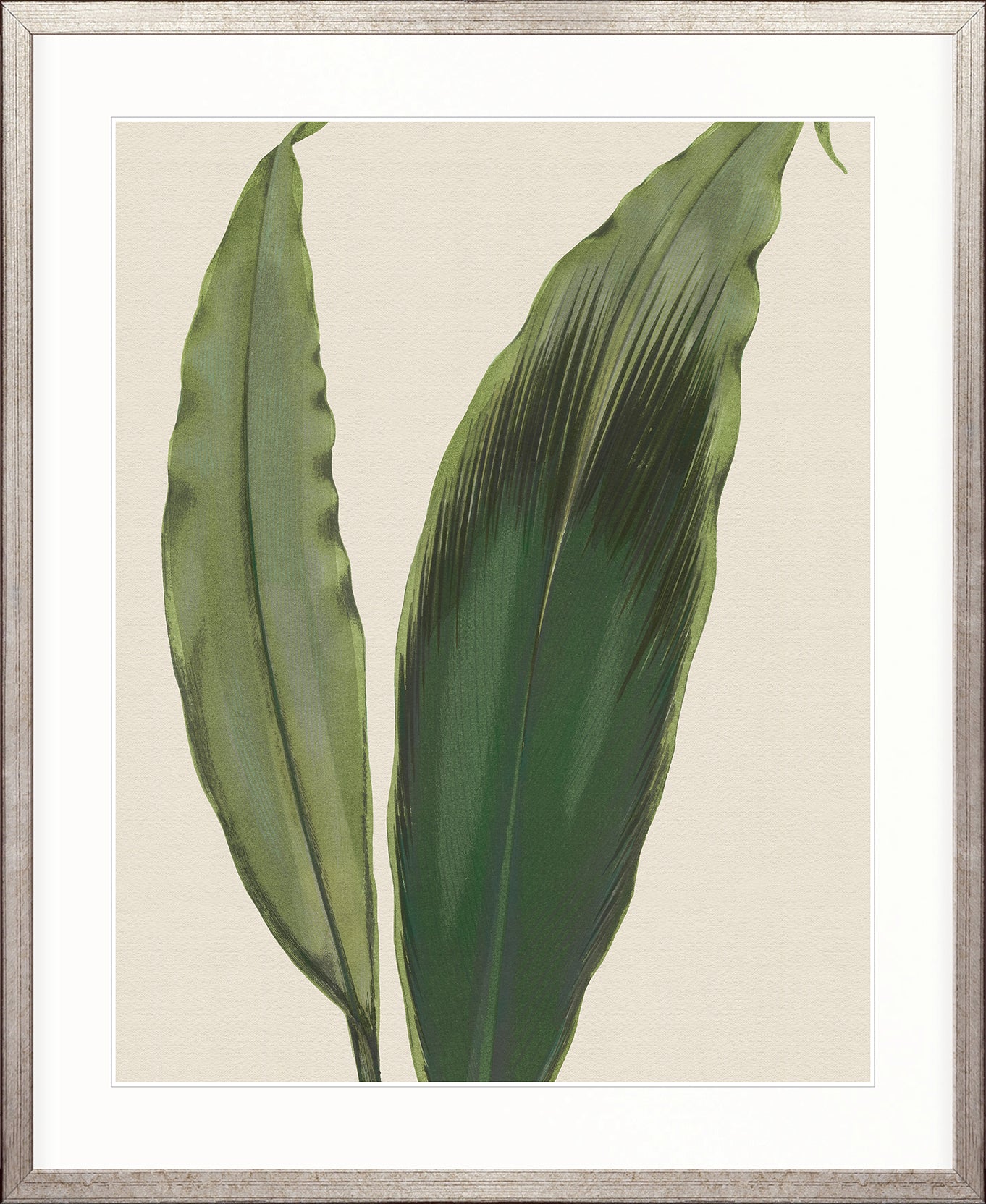 Viridi Foliage V
