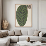 Viridi Foliage VI (Canvas) Large (903mm W x 1109mm H)
