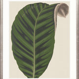 Viridi Foliage VI Small (465mm W x 560mm H) / Standard Clear Glass