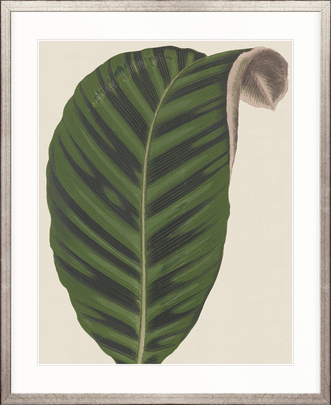 Viridi Foliage VI