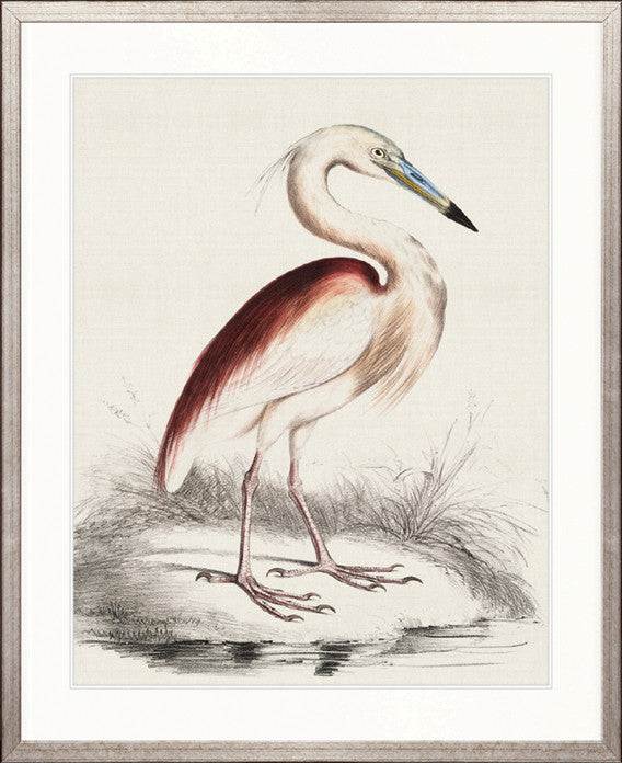 Vintage Waterbird I