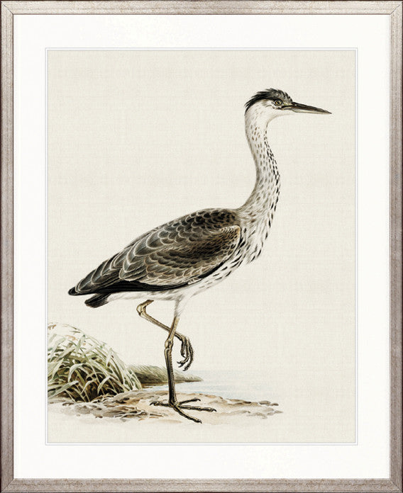 Vintage Waterbird II