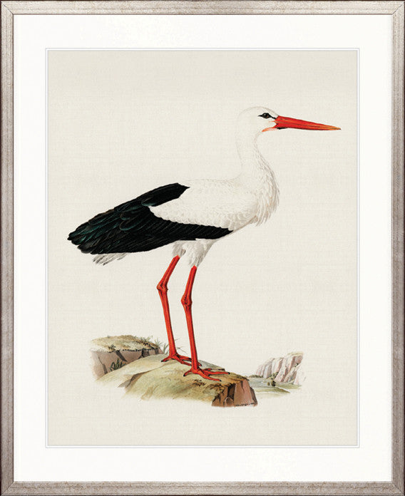 Vintage Waterbird III