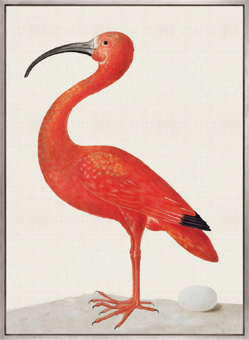 Vintage Waterbird IV (Canvas)