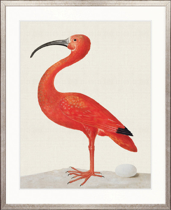 Vintage Waterbird IV