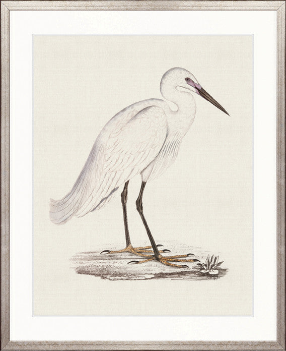 Vintage Waterbird VI