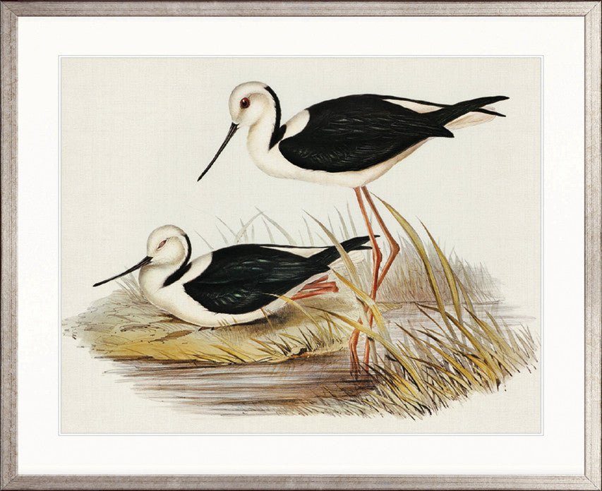 Vintage Waterbird VII