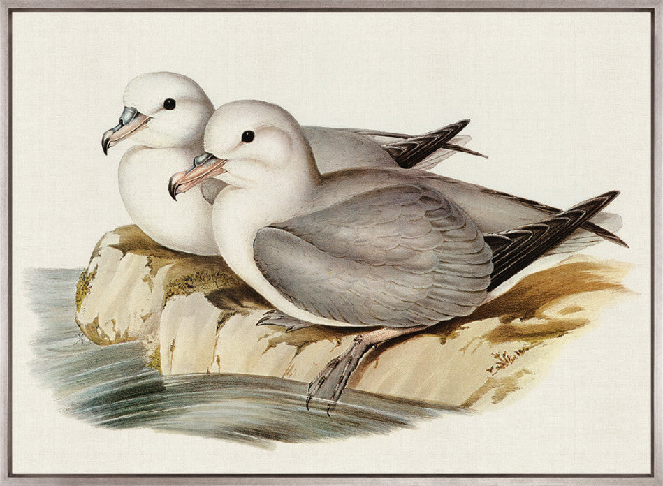 Vintage Waterbird VIII (Canvas)