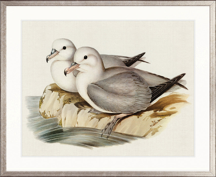 Vintage Waterbird VIII