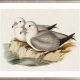 Vintage Waterbird VIII