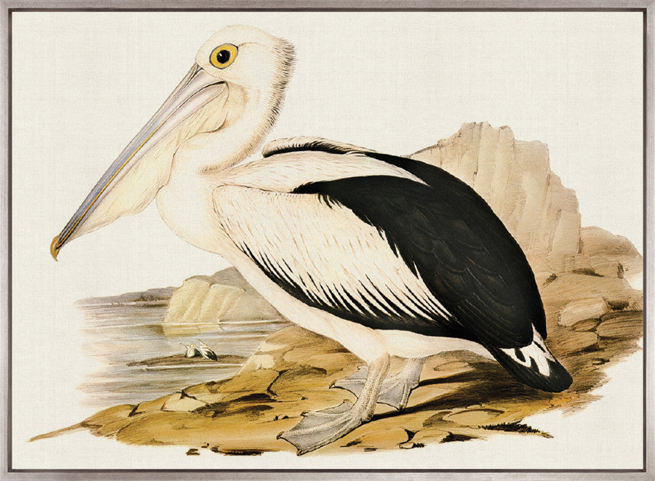 Vintage Waterbird X (Canvas)