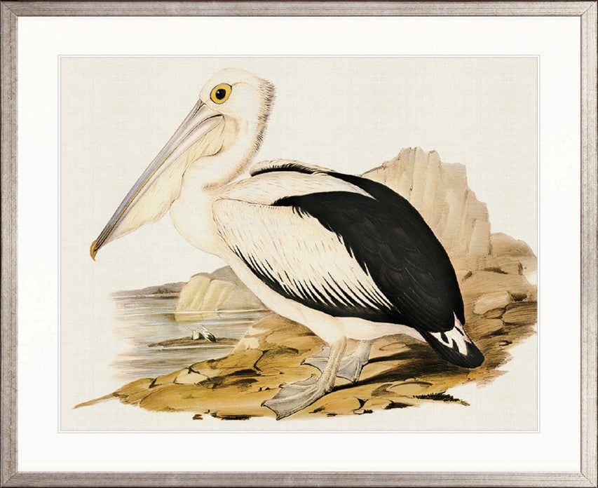 Vintage Waterbird X