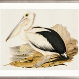Vintage Waterbird X