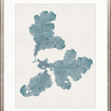 Seaweed Subject II (Blue)