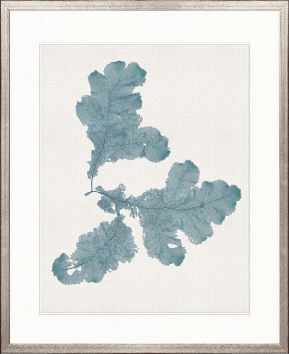 Seaweed Subject II (Blue)