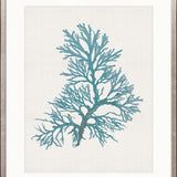 Seaweed Subject V (Blue)