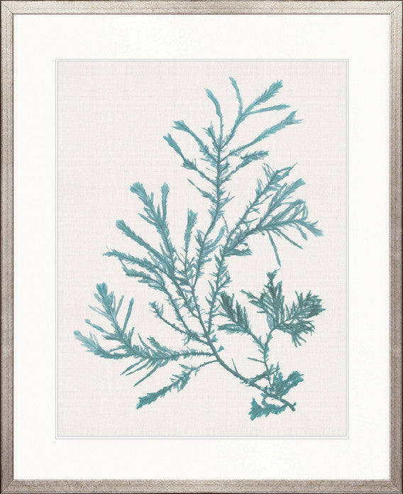 Seaweed Subject VI (Blue)