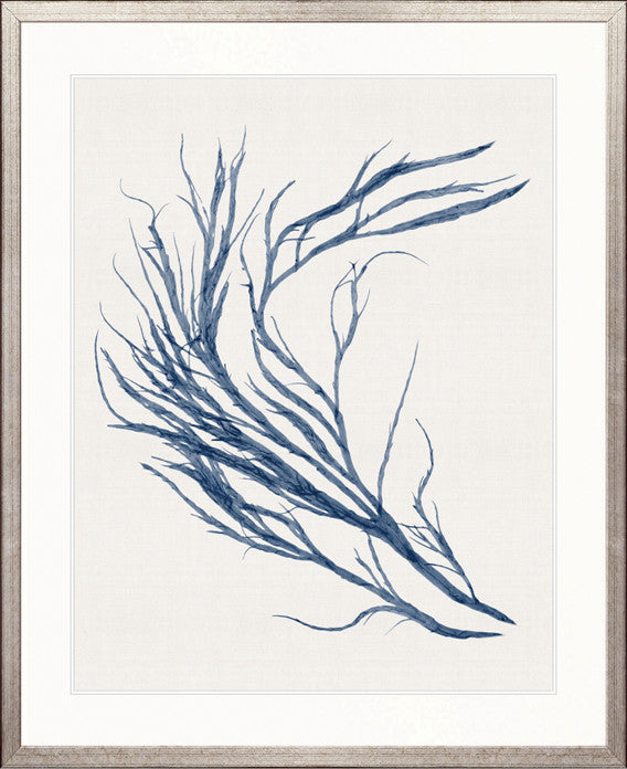 Seaweed Subject XXI (Indigo)